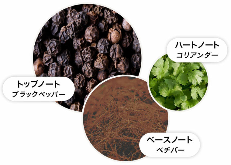 ブラックペッパー アロマリード 150ml – MOLTON BROWN