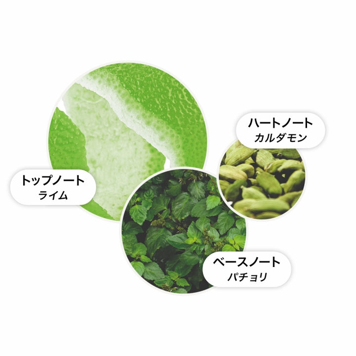 ライム＆パチョリ ハンドローション 300ml – MOLTON BROWN