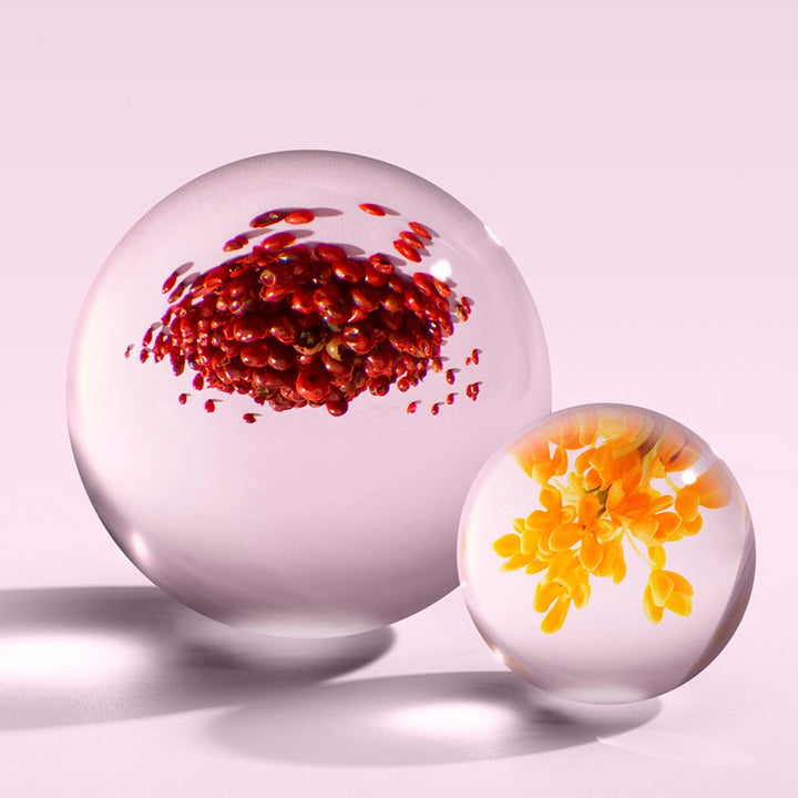 ピンクペッパー オードパルファン 100ml – MOLTON BROWN