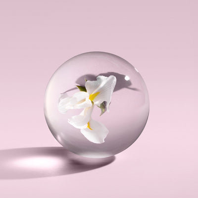 スエード オリス オードトワレ 50ml