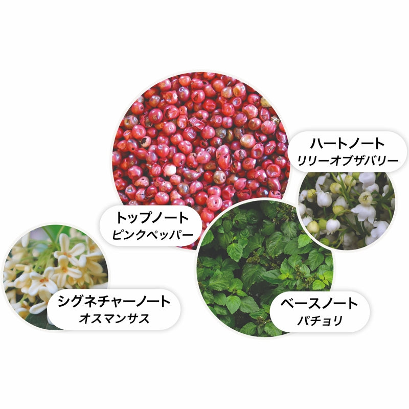 ピンクペッパー オードパルファン 7.5ml – MOLTON BROWN