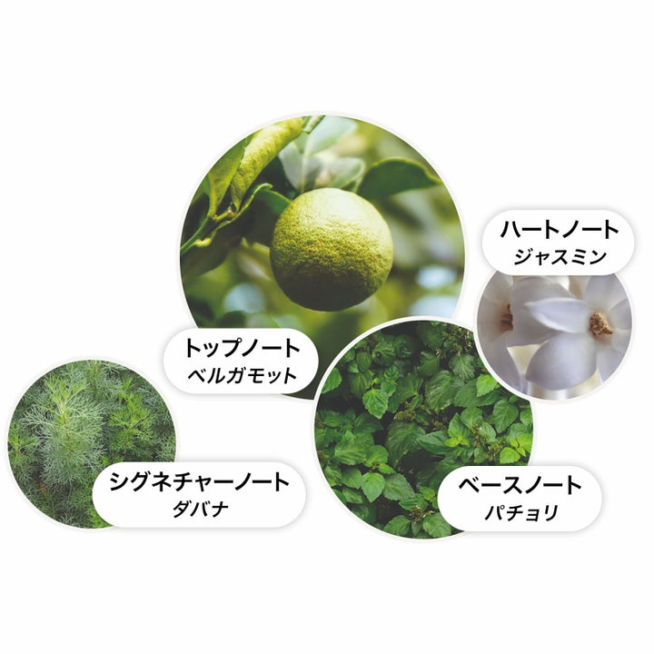 ジャスミン＆サンローズ オードパルファン 100ml – MOLTON BROWN