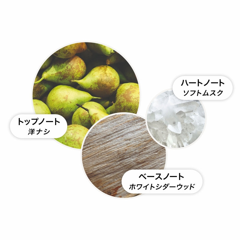 ミルクムスク ボディローション 300ml – MOLTON BROWN